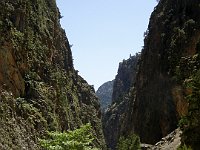 Photo 200